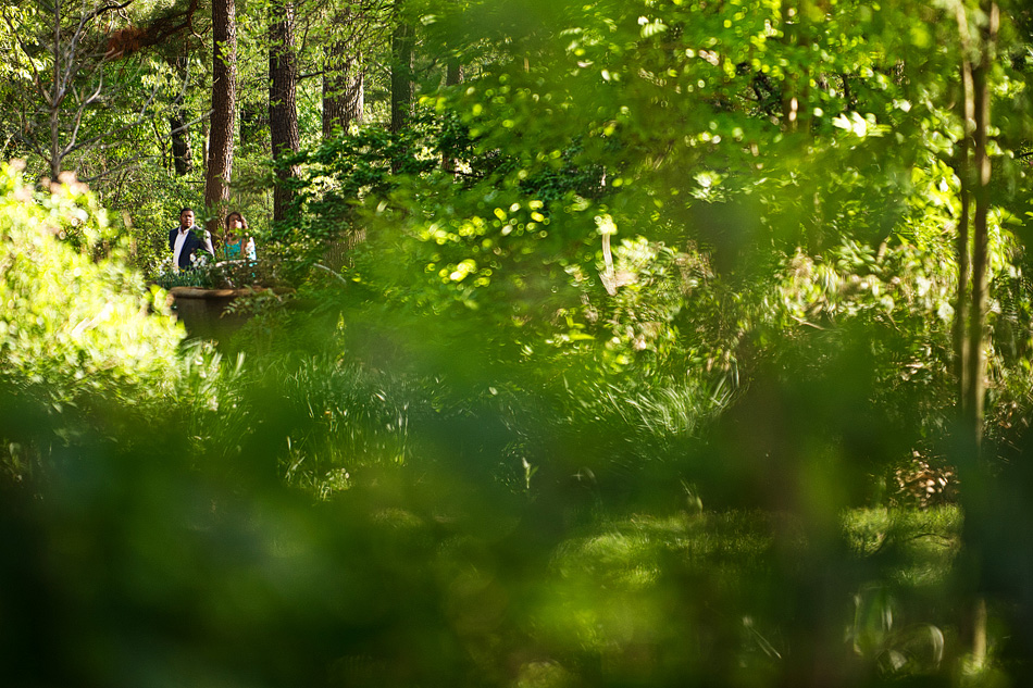 memphis_wedding_photographer_amydale_botanic_gardens_proposal001