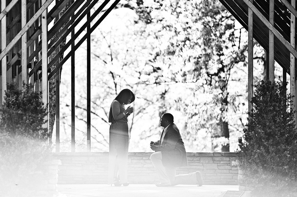 memphis_wedding_photographer_amydale_botanic_gardens_proposal003