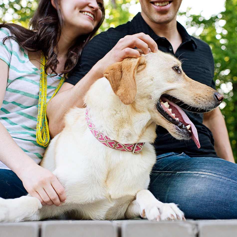 memphis wedding photographer, amydale photography, engagement session with a dog