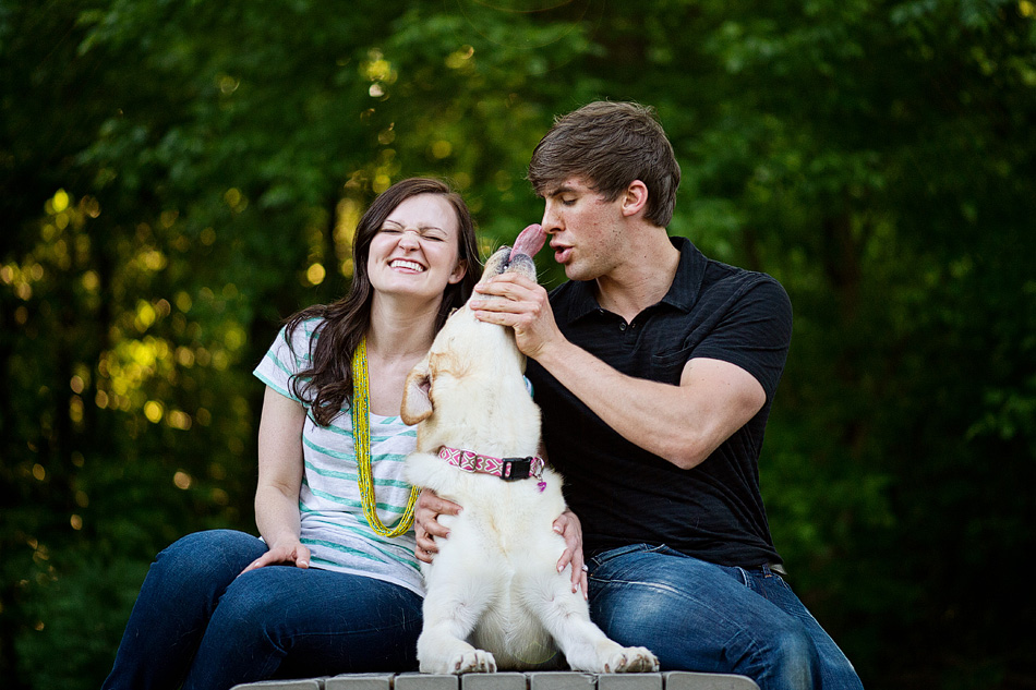 memphis wedding photographer, amydale photography, engagement session with a dog