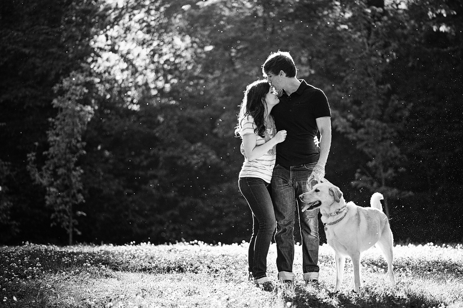 memphis wedding photographer, amydale photography, engagement session with a dog