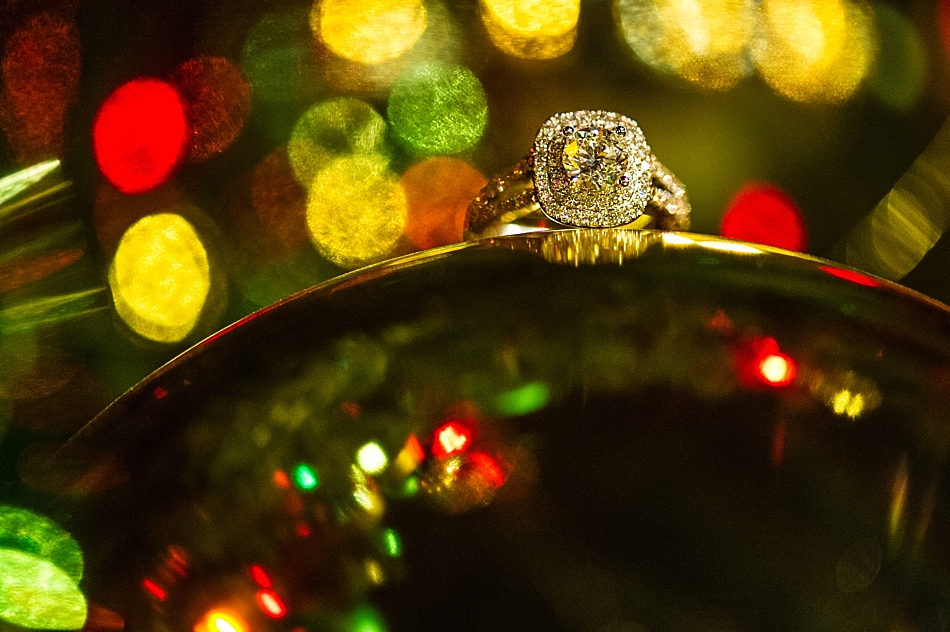 amydale_photography_peabody_proposal008