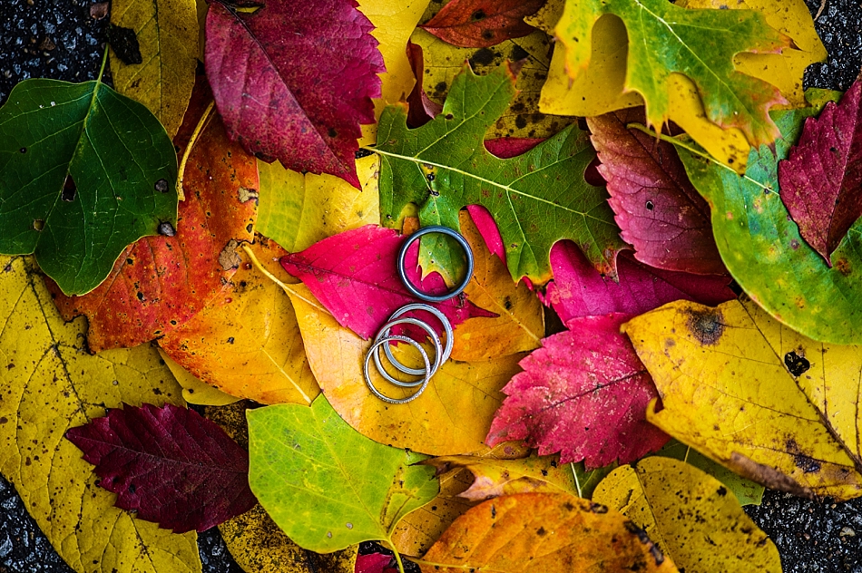 amydale_photography_rings001