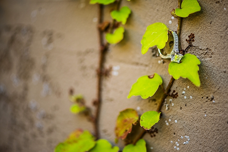 amydale_photography_rings006