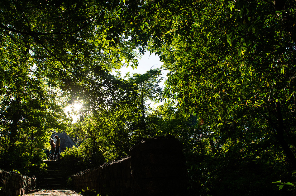 amydale_photography_memphis_engagement011