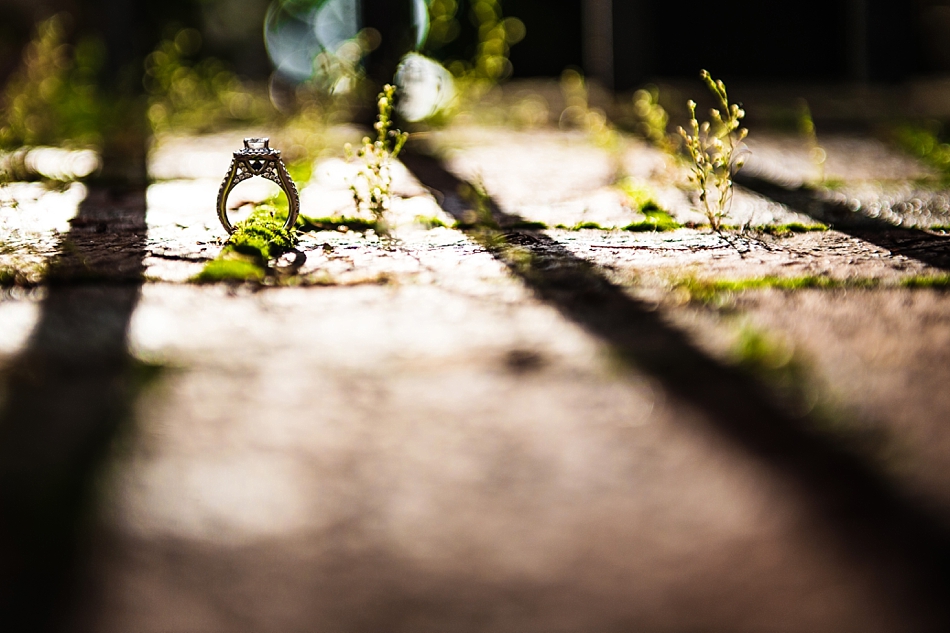 amydale_photography_memphis_wedding_engagement_downtown017