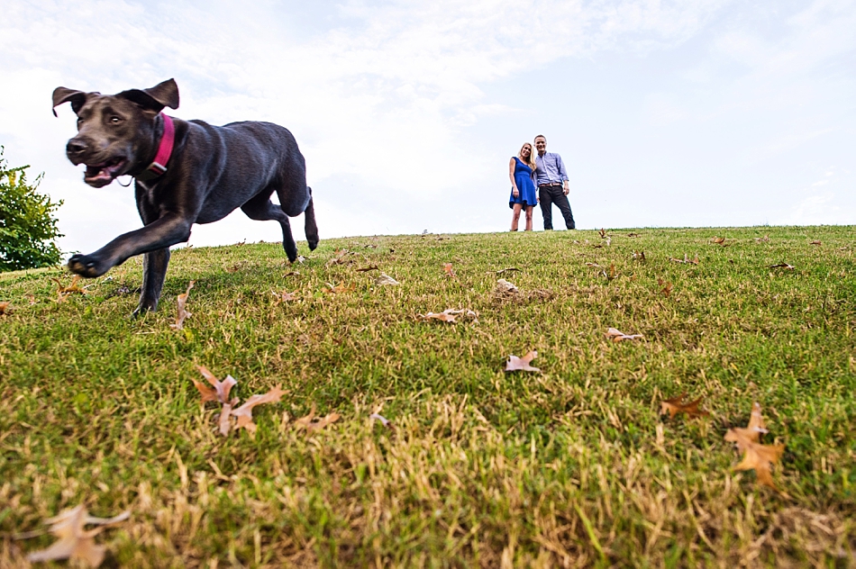 amydale_photography_best_of_engagements_memphis002