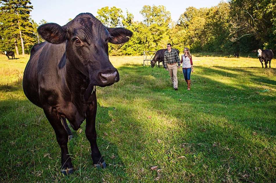 amydale_photography_best_of_engagements_memphis014