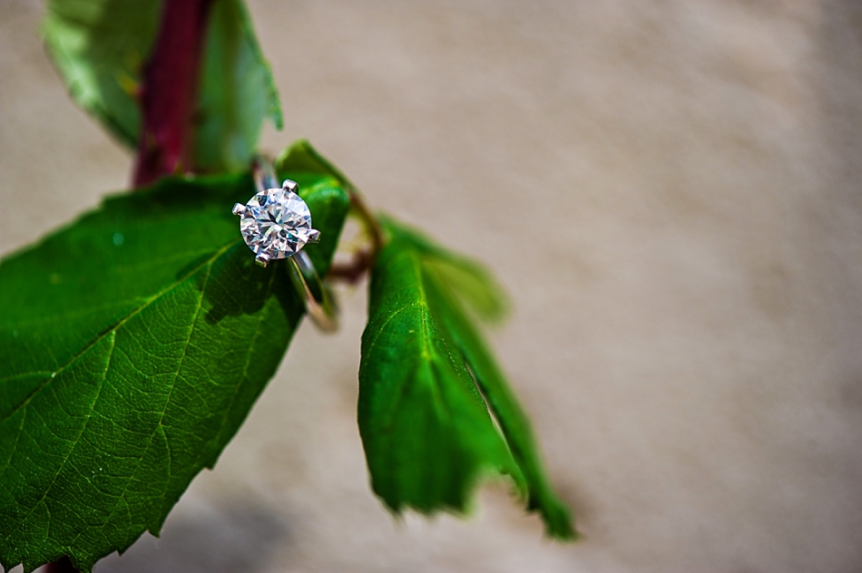 amydale_photography_engagement_memphis_downtown219