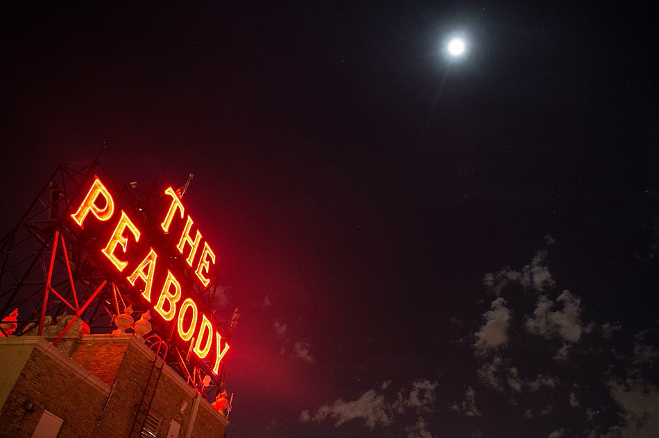 amydale_photography_memphis_proposal_peabody_hotel_downtown001