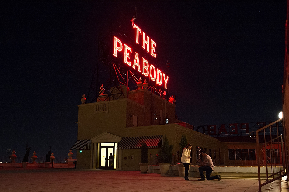 amydale_photography_memphis_proposal_peabody_hotel_downtown004