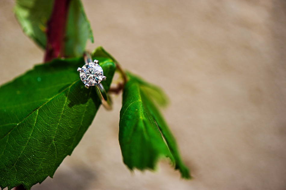 amydale_photography_memphis_wedding_portrait_photographer018