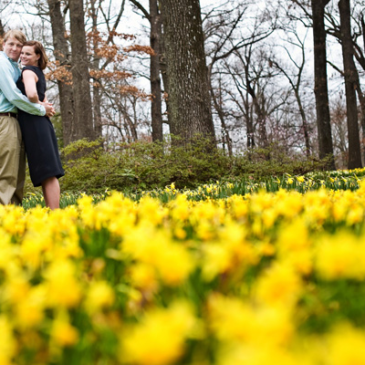 Sarah + Brandon | Engagement Part 2