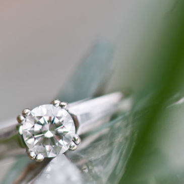 Meredith + Josh | Engagement