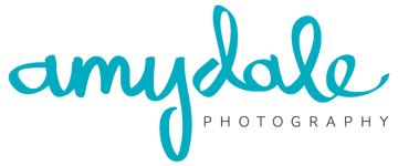 amydale photography | Memphis, TN | Memphis Wedding Photographer logo
