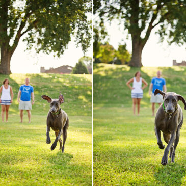 Robert & Abby (& Daphne) | Family