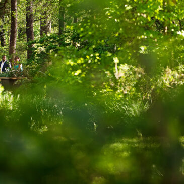 Brittany + Kelon | Proposal