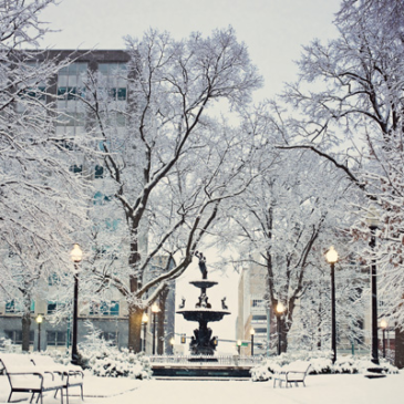 Memphis | Snow Day